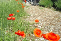Les Trois Jardins Sarlat
